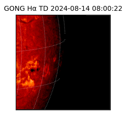 gong - 2024-08-14T08:00:22