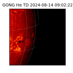 gong - 2024-08-14T09:02:22