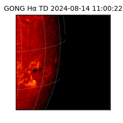 gong - 2024-08-14T11:00:22