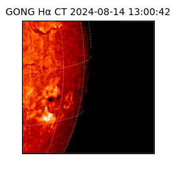 gong - 2024-08-14T13:00:42