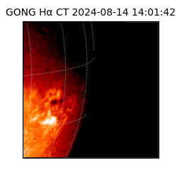 gong - 2024-08-14T14:01:42