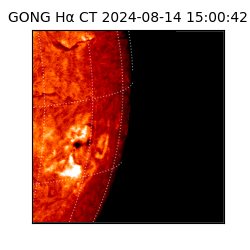 gong - 2024-08-14T15:00:42