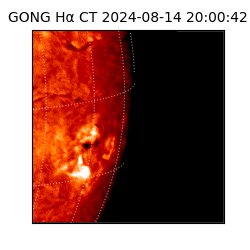 gong - 2024-08-14T20:00:42