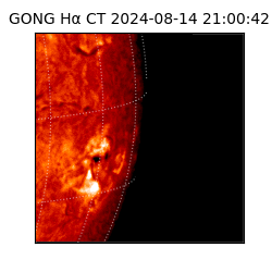 gong - 2024-08-14T21:00:42
