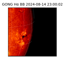 gong - 2024-08-14T23:00:02