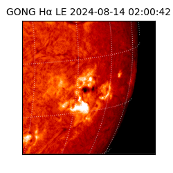 gong - 2024-08-14T02:00:42
