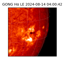 gong - 2024-08-14T04:00:42