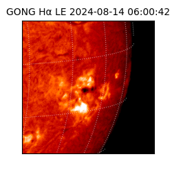 gong - 2024-08-14T06:00:42
