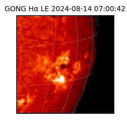gong - 2024-08-14T07:00:42