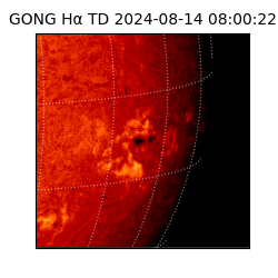 gong - 2024-08-14T08:00:22