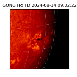 gong - 2024-08-14T09:02:22