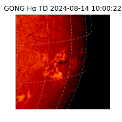 gong - 2024-08-14T10:00:22