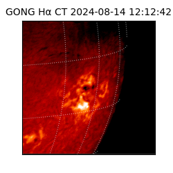 gong - 2024-08-14T12:12:42