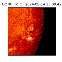 gong - 2024-08-14T13:00:42