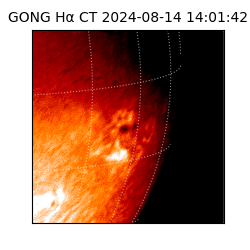 gong - 2024-08-14T14:01:42
