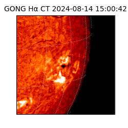 gong - 2024-08-14T15:00:42