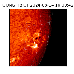 gong - 2024-08-14T16:00:42