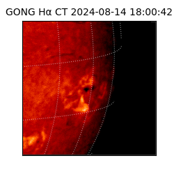gong - 2024-08-14T18:00:42