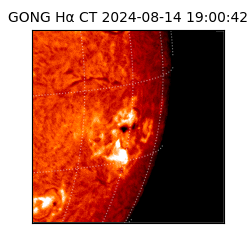 gong - 2024-08-14T19:00:42