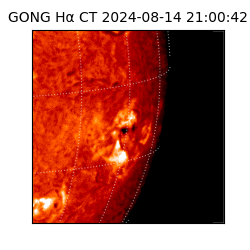 gong - 2024-08-14T21:00:42