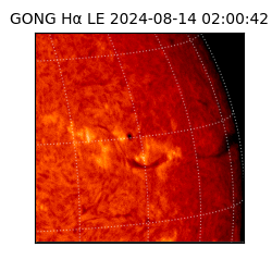 gong - 2024-08-14T02:00:42
