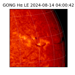 gong - 2024-08-14T04:00:42
