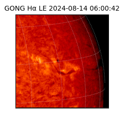 gong - 2024-08-14T06:00:42