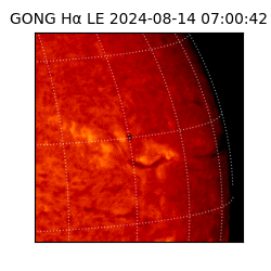 gong - 2024-08-14T07:00:42