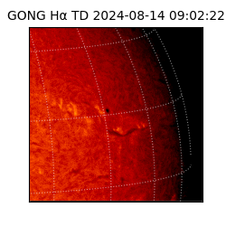 gong - 2024-08-14T09:02:22