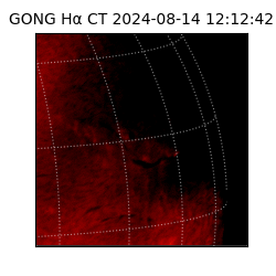 gong - 2024-08-14T12:12:42