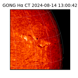gong - 2024-08-14T13:00:42