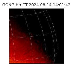 gong - 2024-08-14T14:01:42