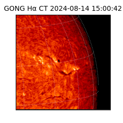 gong - 2024-08-14T15:00:42