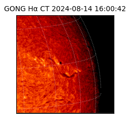 gong - 2024-08-14T16:00:42