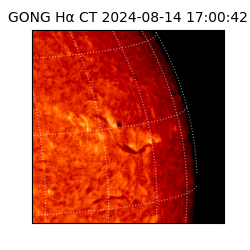 gong - 2024-08-14T17:00:42