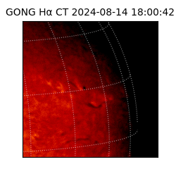 gong - 2024-08-14T18:00:42