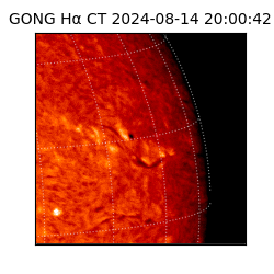 gong - 2024-08-14T20:00:42