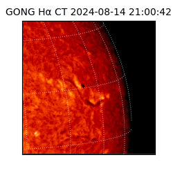 gong - 2024-08-14T21:00:42