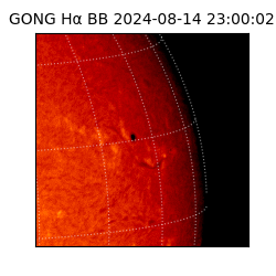 gong - 2024-08-14T23:00:02