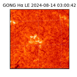 gong - 2024-08-14T03:00:42