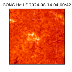 gong - 2024-08-14T04:00:42