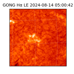gong - 2024-08-14T05:00:42