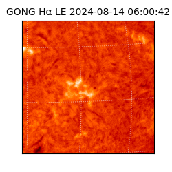 gong - 2024-08-14T06:00:42