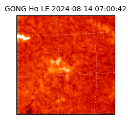 gong - 2024-08-14T07:00:42