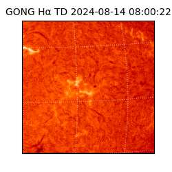 gong - 2024-08-14T08:00:22