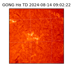 gong - 2024-08-14T09:02:22