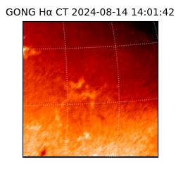 gong - 2024-08-14T14:01:42