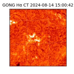 gong - 2024-08-14T15:00:42