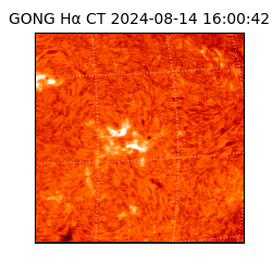 gong - 2024-08-14T16:00:42