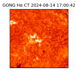 gong - 2024-08-14T17:00:42